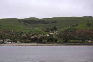 HARINGTON-POINT-DUNEDIN (14)